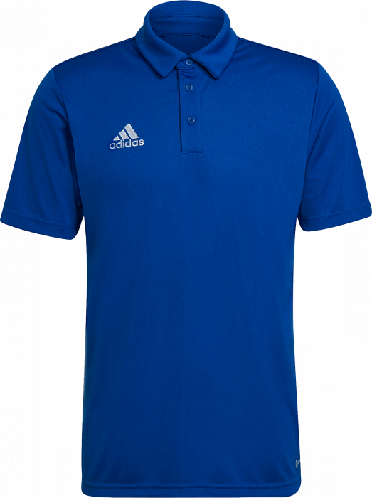 Adidas - Entrada 22 Polo - Azul real