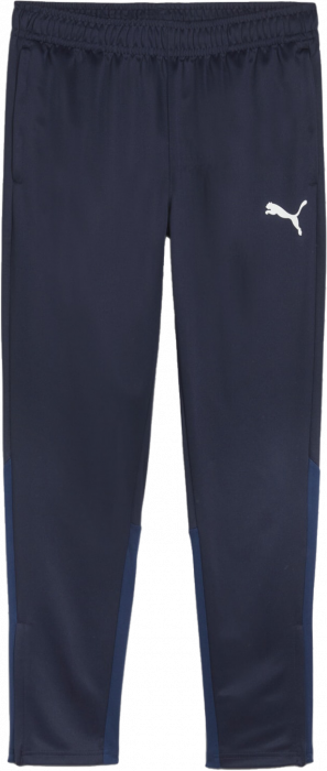 Puma - Teamgoal Training Pants - Marin