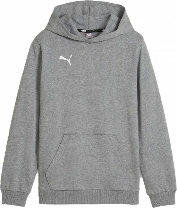 Puma - Teamgoal Casual Hoodie Kids - Grey Heather & vit