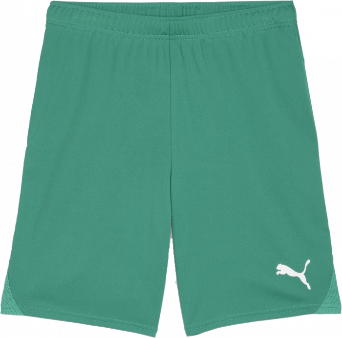 Puma - Teamgoal Shorts - Grün & weiß