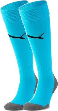 Puma - Teamliga Core Sock - Türkis & schwarz